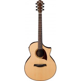 Ibanez AEW22CD 