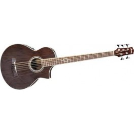 IBANEZ EWB205WNE Basso Acustico Elettrico